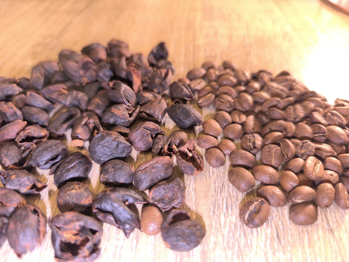 Cascara vs café : quelles différences ? 